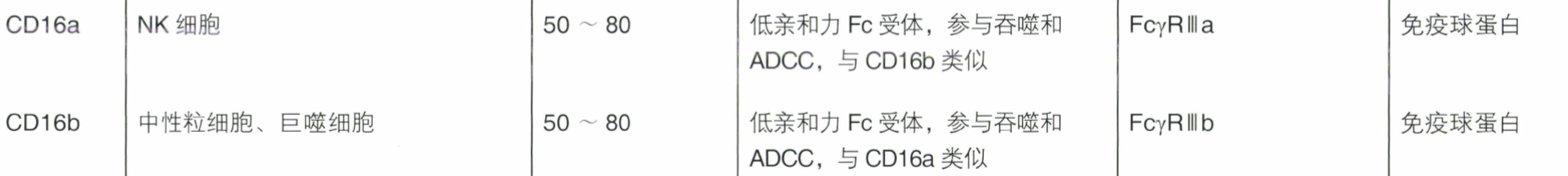 attachment/Pasted image 20241113083110.png