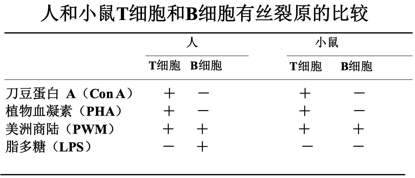 attachment/AttachedPic/人和小鼠T细胞和B细胞有丝裂原的比较.png