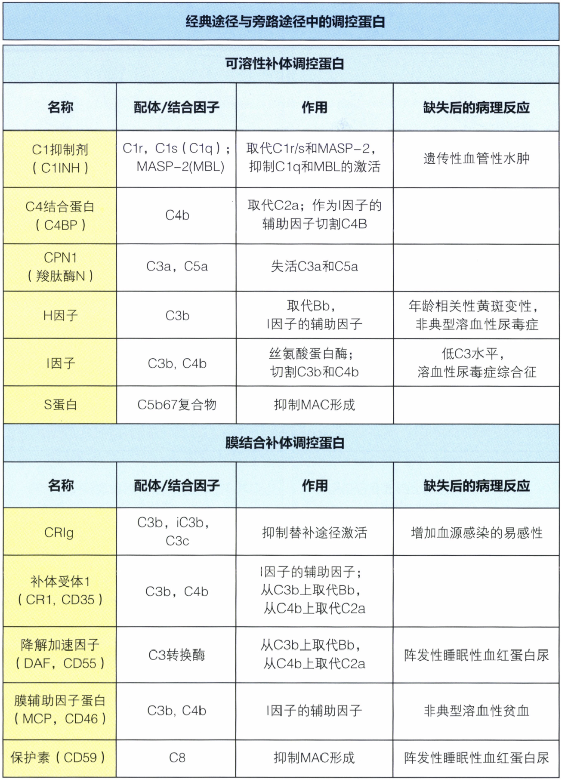 调节补体活性的可溶性和膜结合蛋白.png